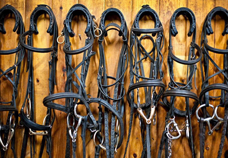 horse tack